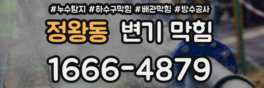 정왕동 변기 막힘
