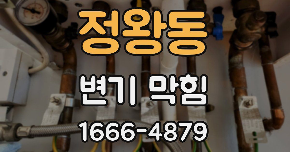 정왕동 변기 막힘
