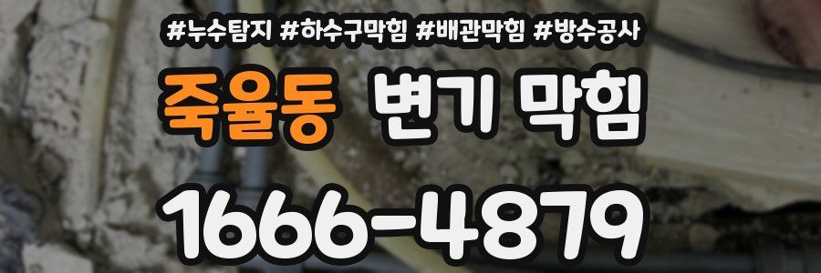 죽율동 변기 막힘