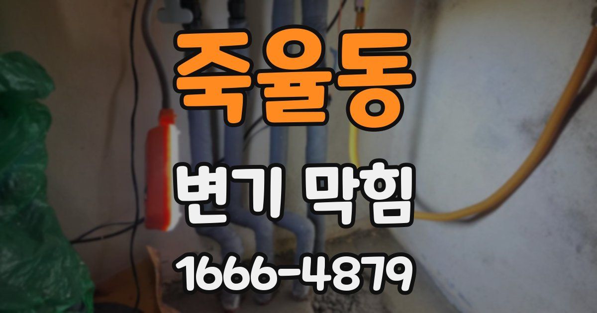 죽율동 변기 막힘