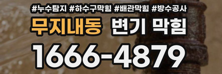 무지내동 변기 막힘