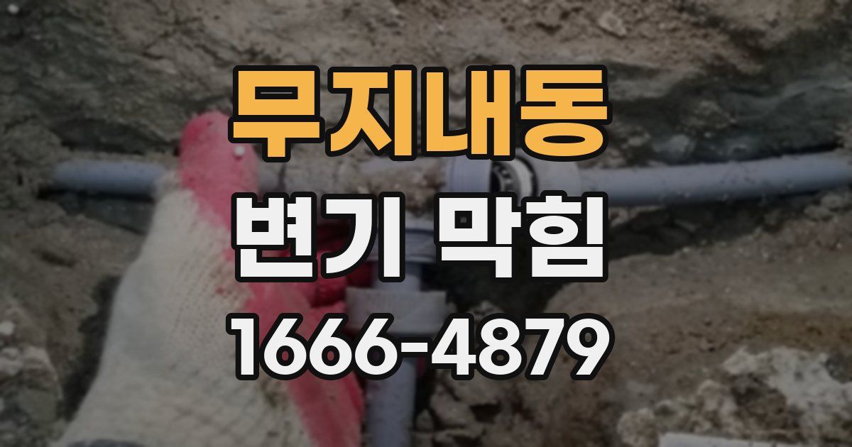 무지내동 변기 막힘