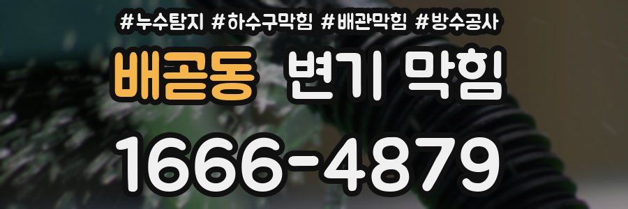 배곧동 변기 막힘