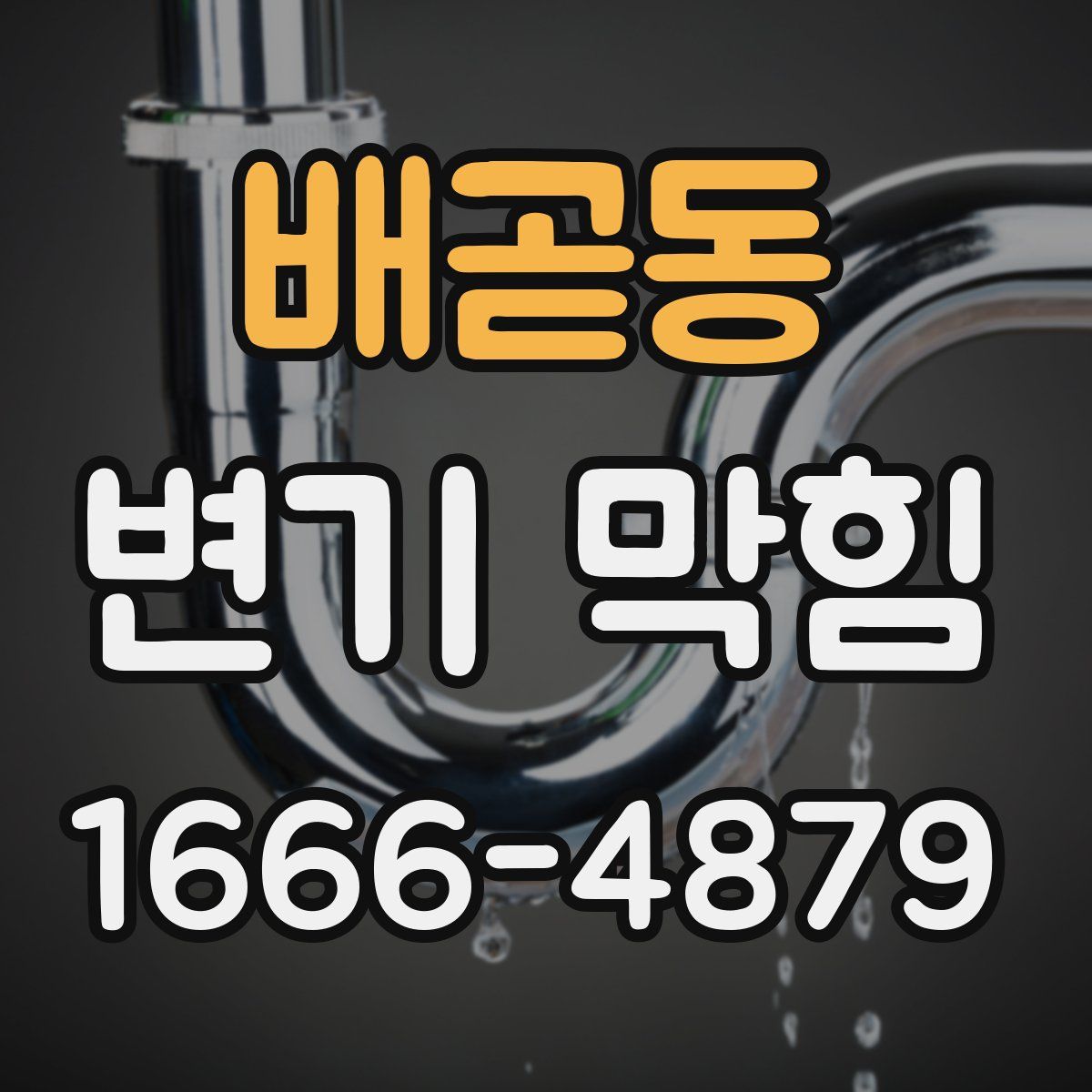 배곧동 변기 막힘