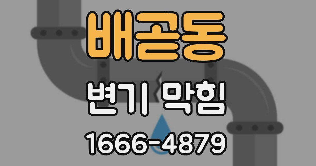 배곧동 변기 막힘