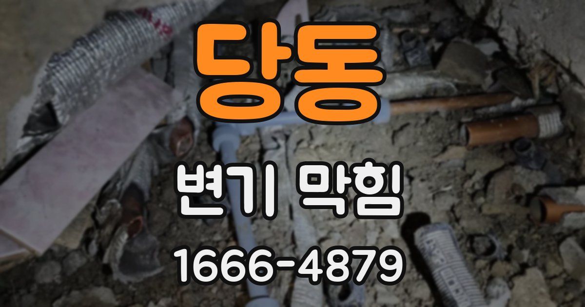당동 변기 막힘