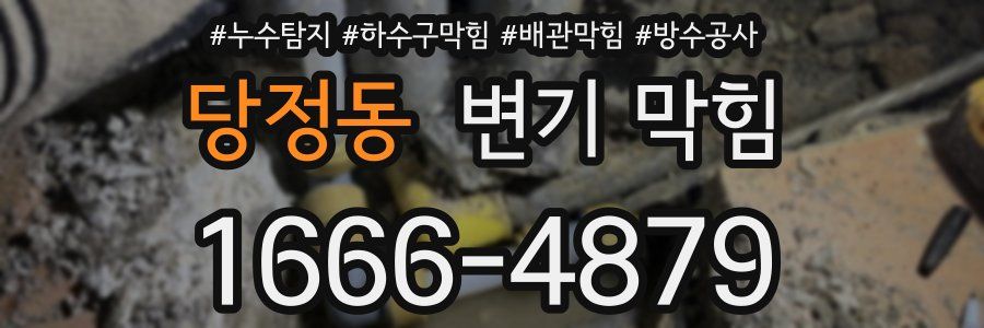당정동 변기 막힘