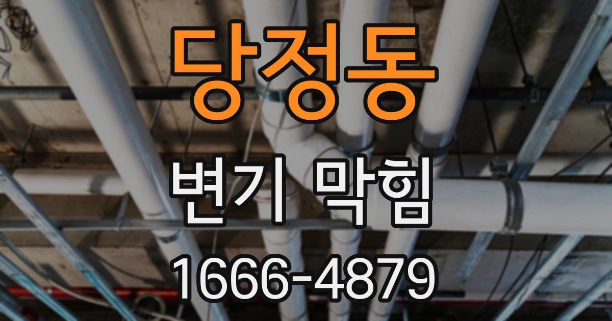 당정동 변기 막힘
