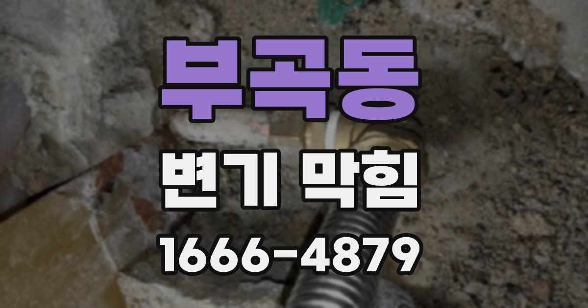 부곡동 변기 막힘