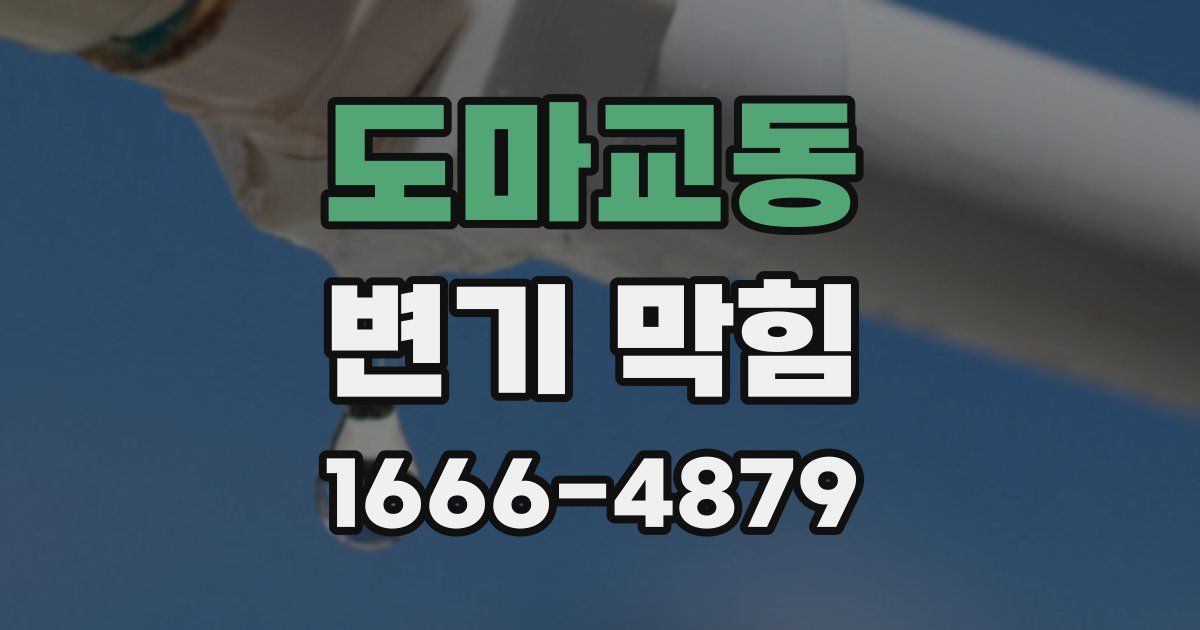 도마교동 변기 막힘