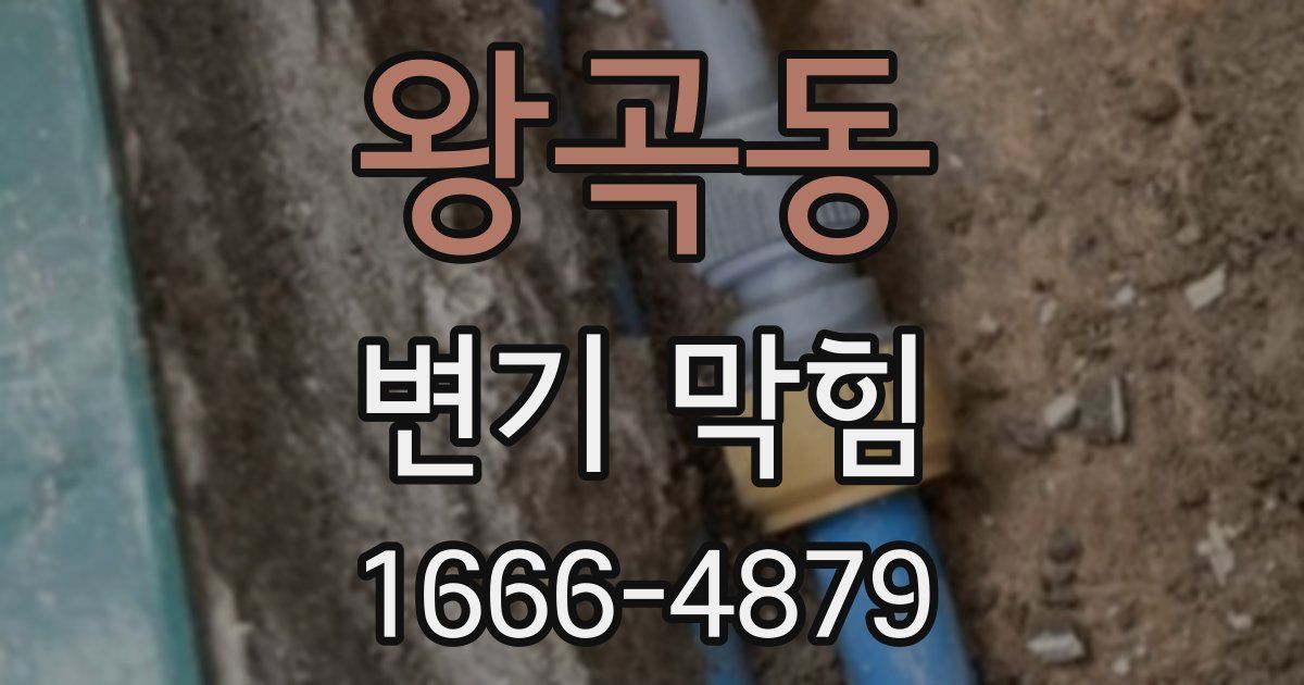 왕곡동 변기 막힘