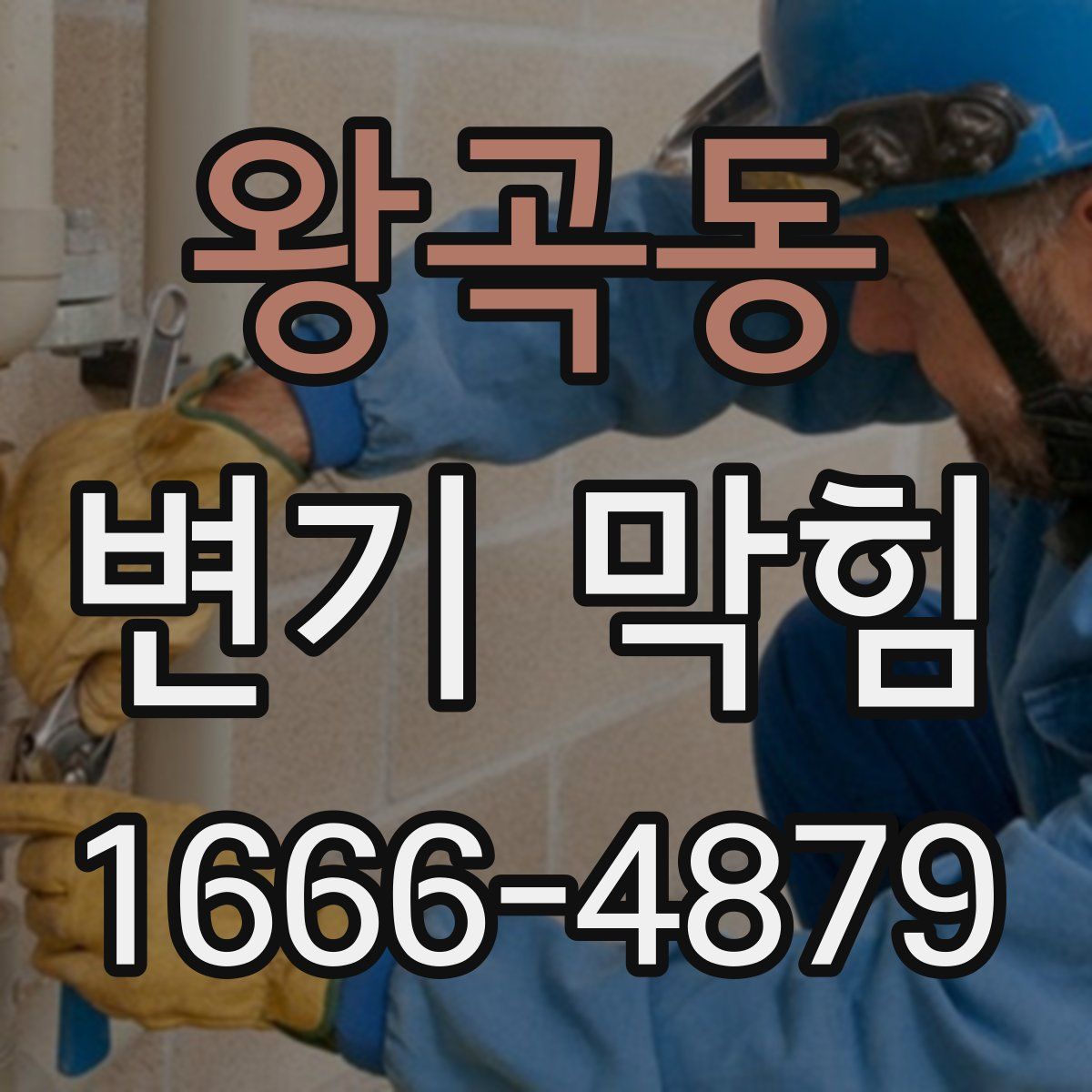 왕곡동 변기 막힘