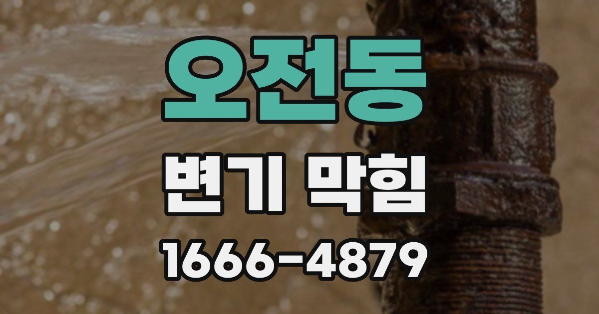 오전동 변기 막힘