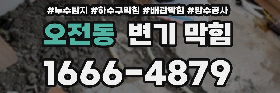 오전동 변기 막힘