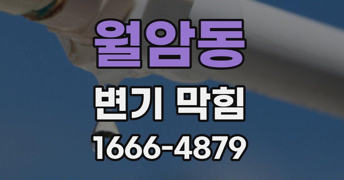 월암동 변기 막힘