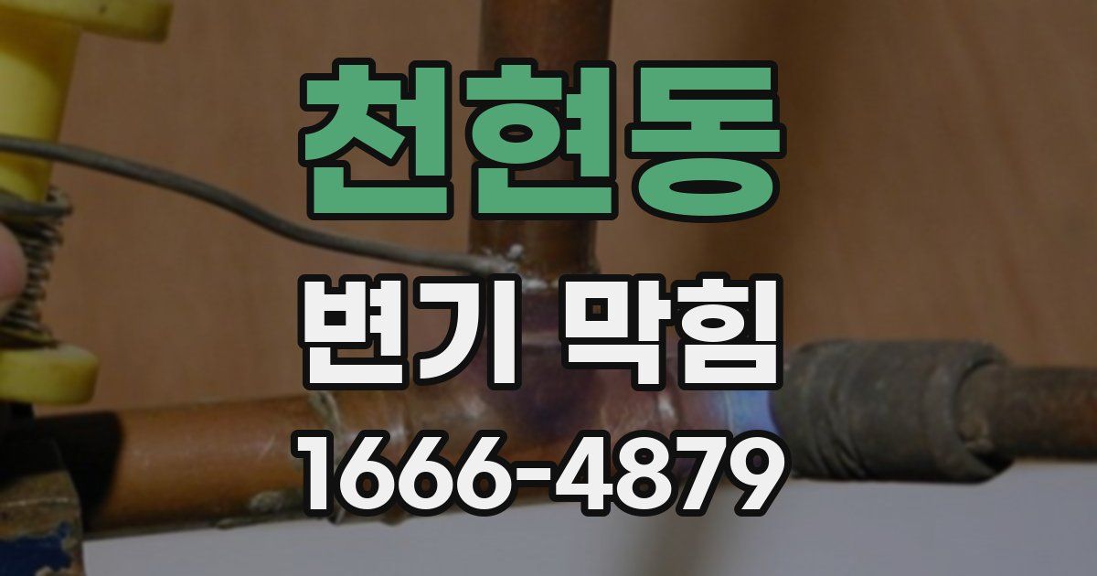 천현동 변기 막힘