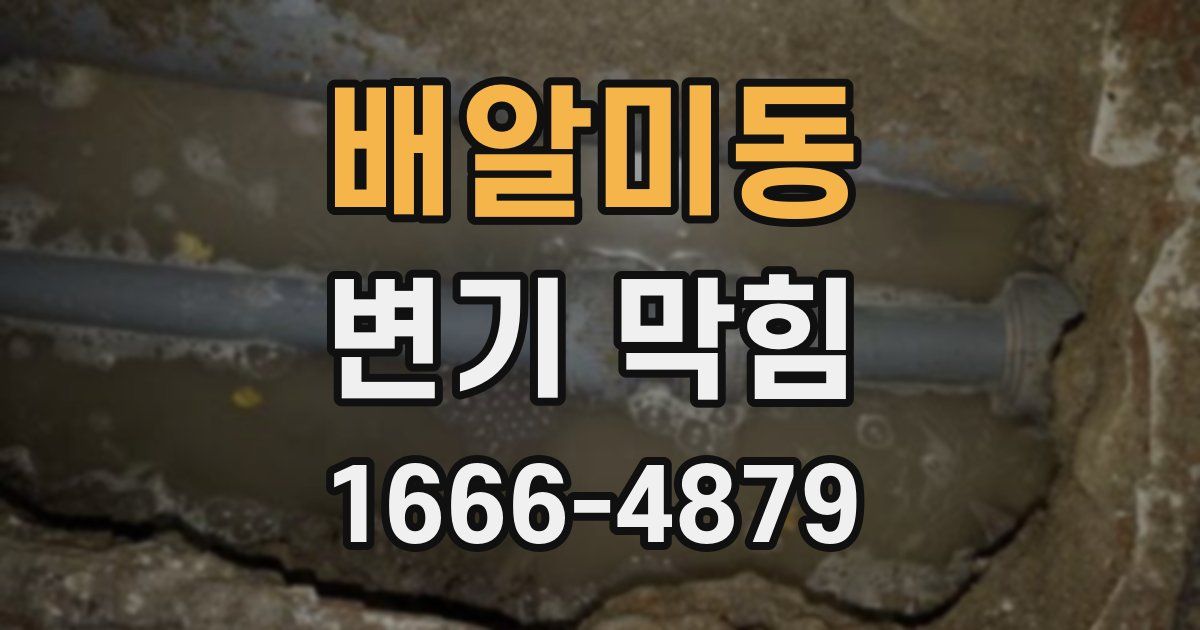 배알미동 변기 막힘