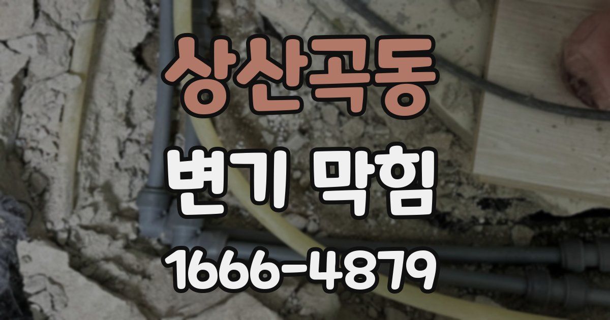 상산곡동 변기 막힘