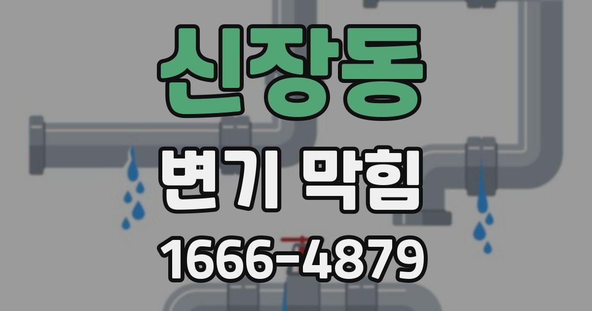 신장동 변기 막힘