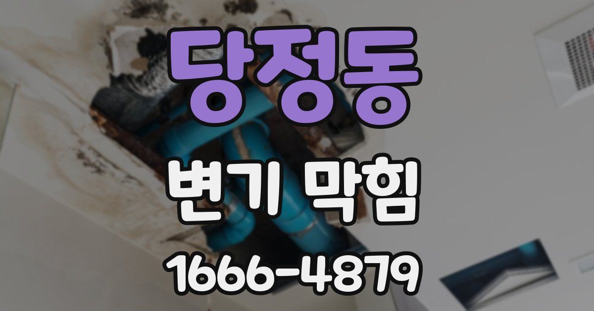 당정동 변기 막힘