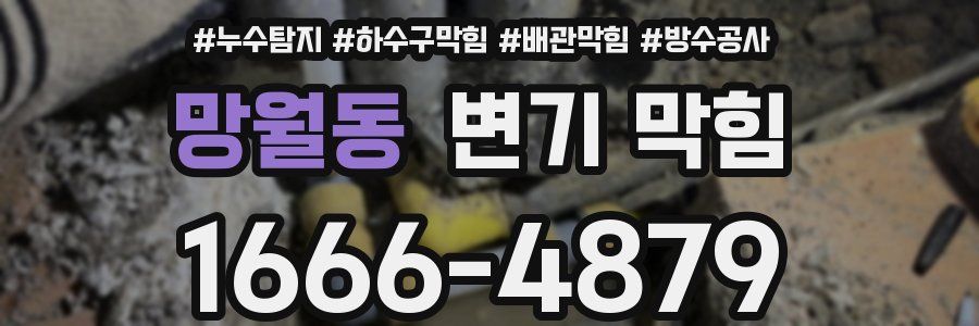 망월동 변기 막힘