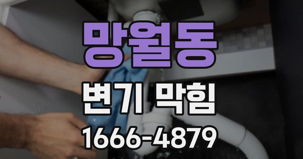 망월동 변기 막힘