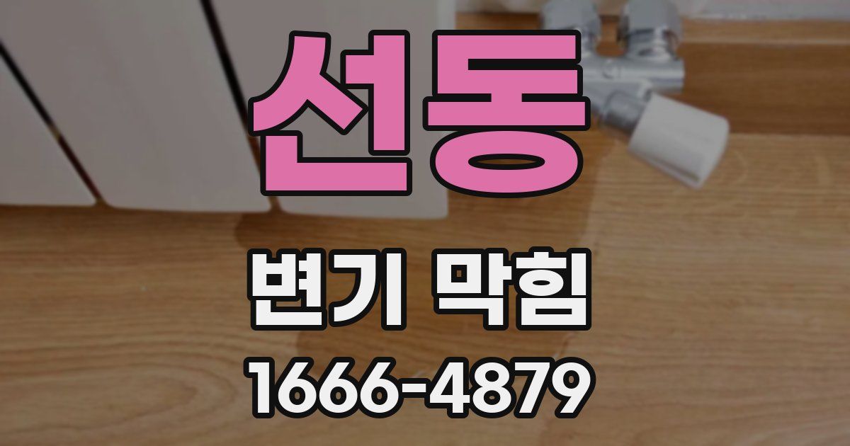 선동 변기 막힘