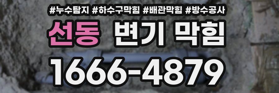 선동 변기 막힘