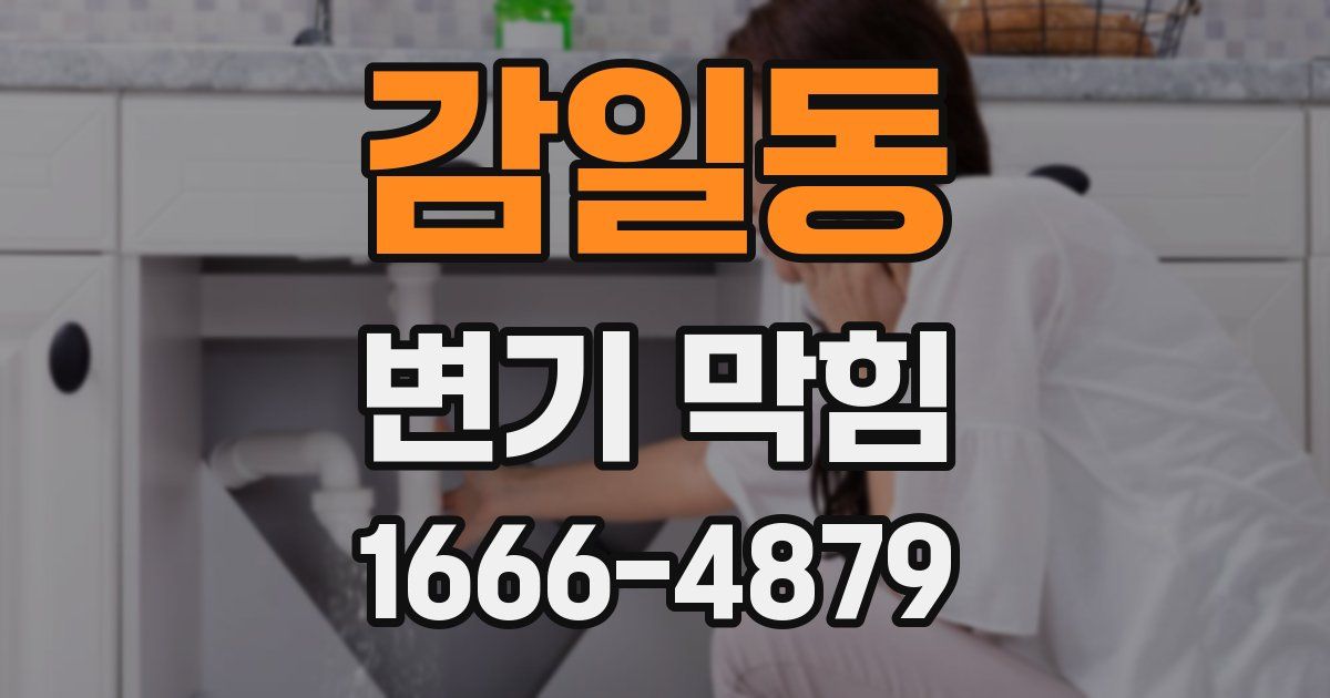 감일동 변기 막힘