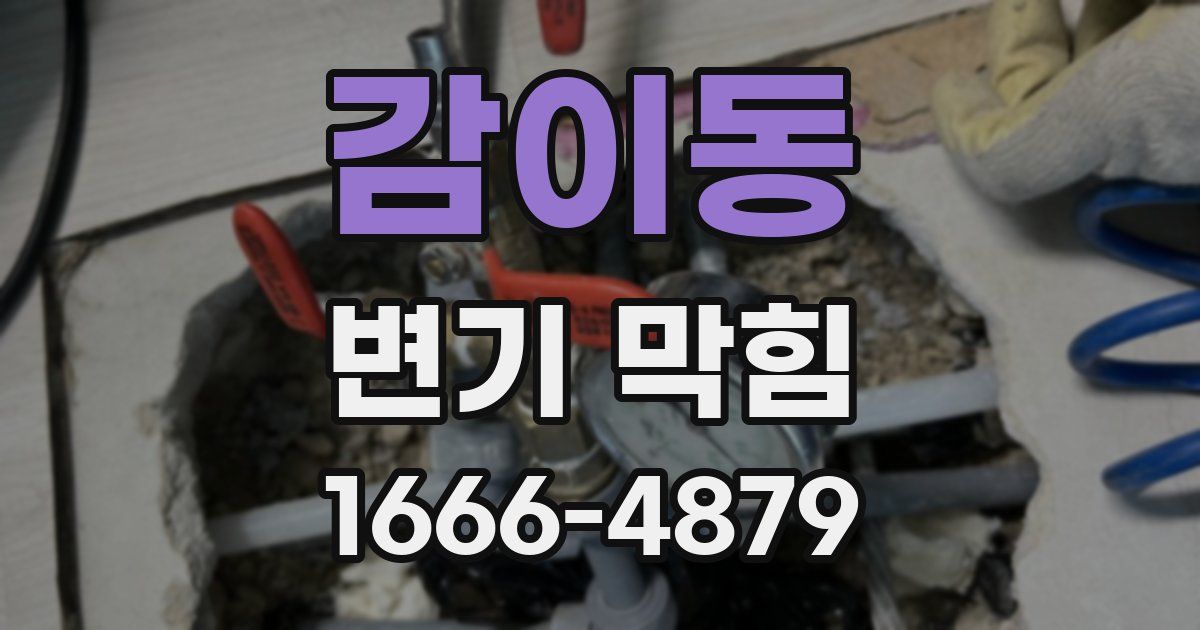 감이동 변기 막힘