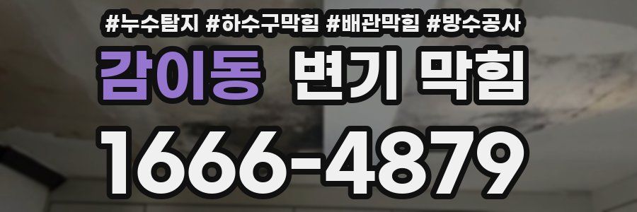 감이동 변기 막힘