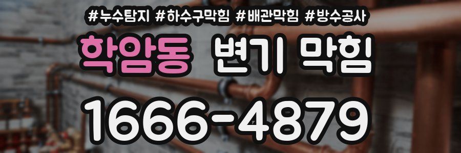 학암동 변기 막힘