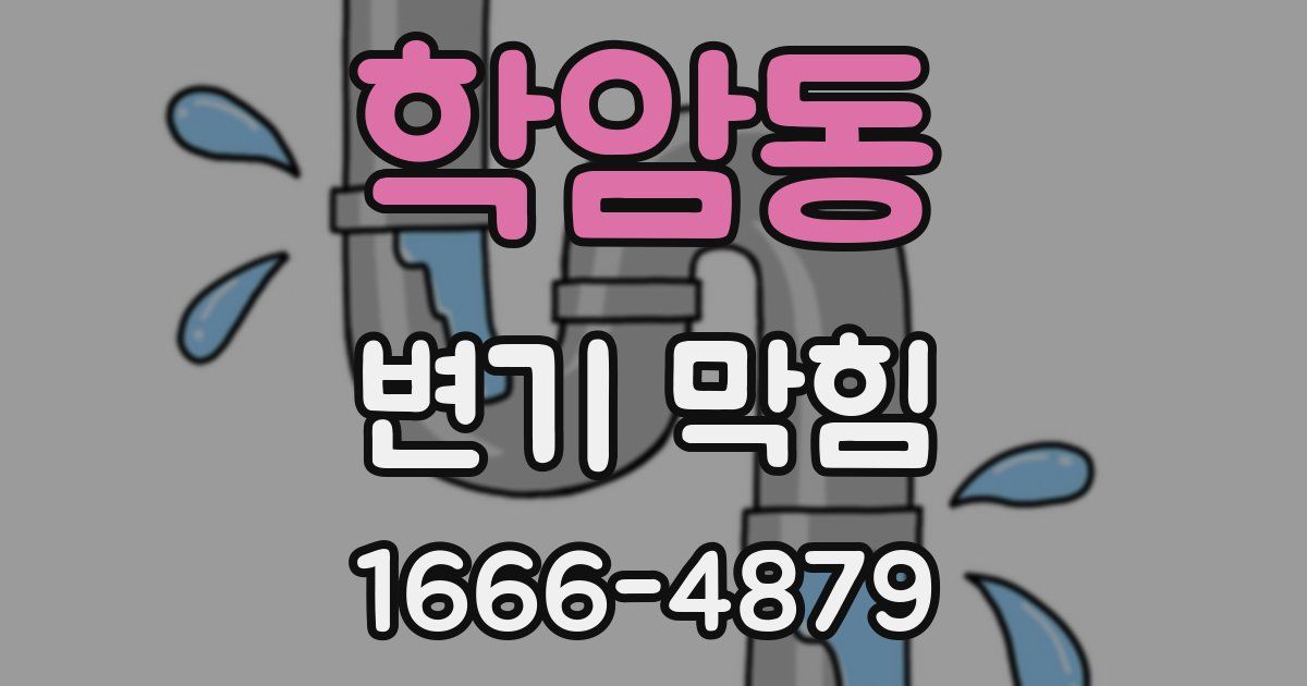 학암동 변기 막힘