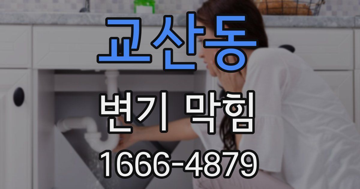 교산동 변기 막힘