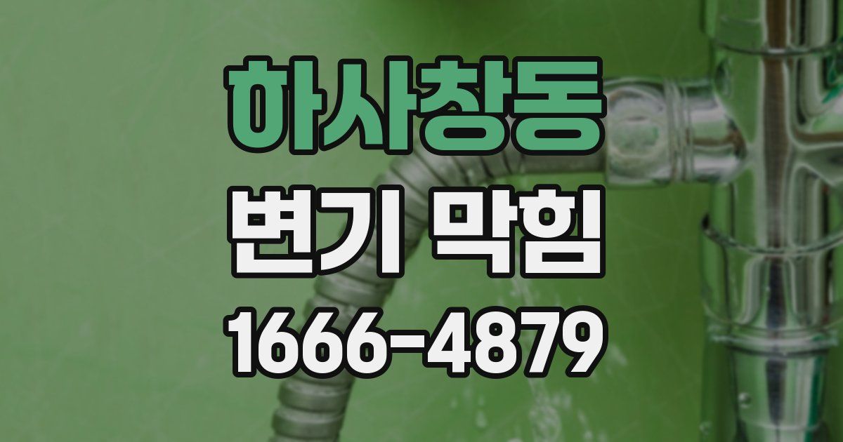 하사창동 변기 막힘