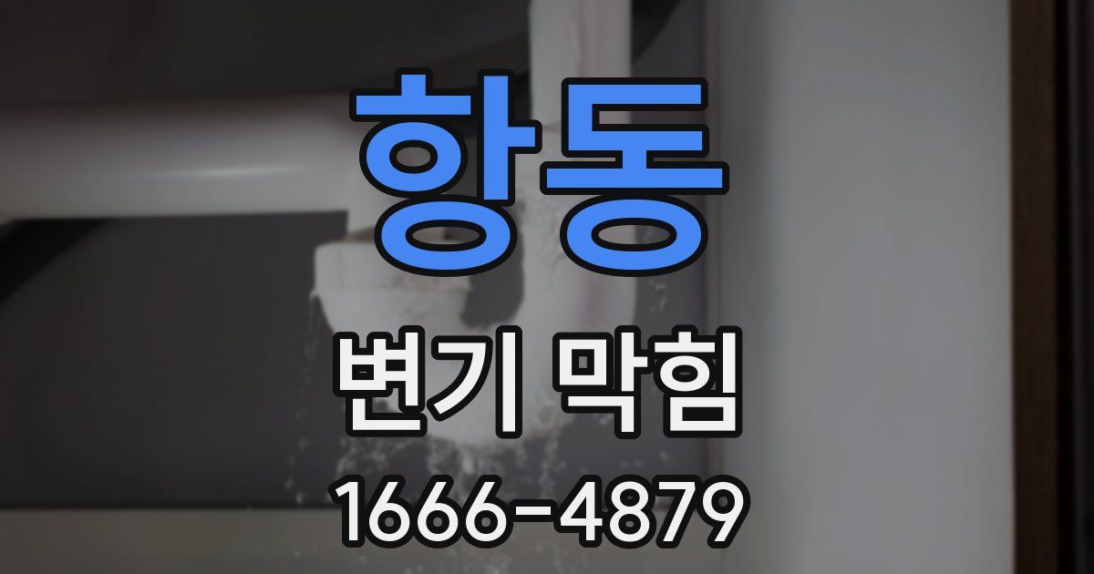 항동 변기 막힘
