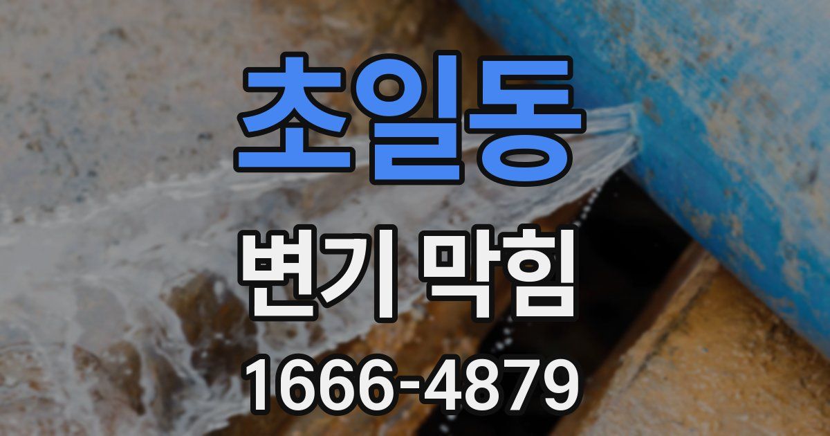 초일동 변기 막힘