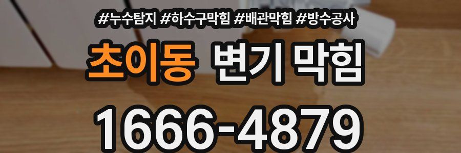 초이동 변기 막힘