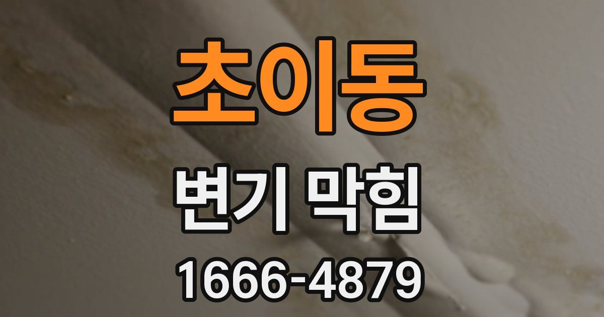 초이동 변기 막힘