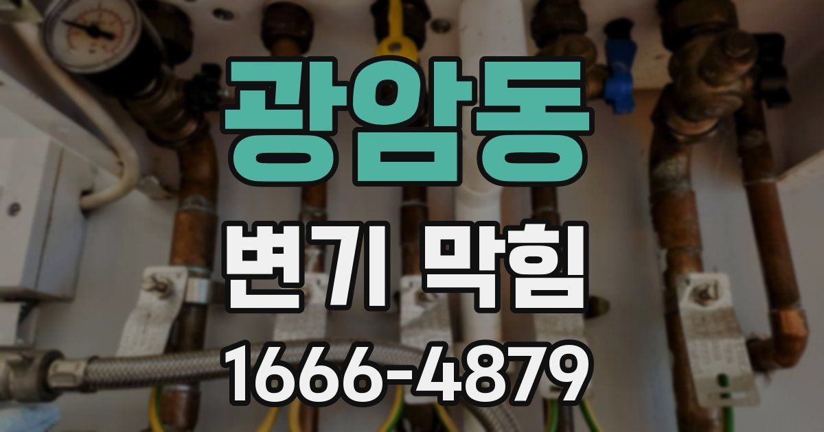 광암동 변기 막힘