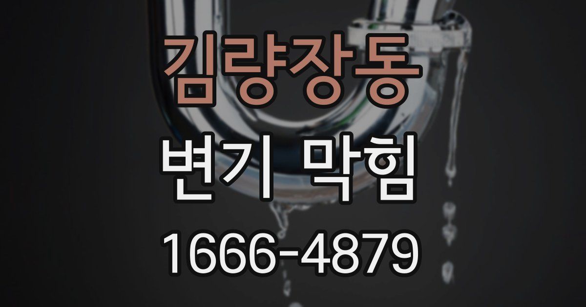 김량장동 변기 막힘