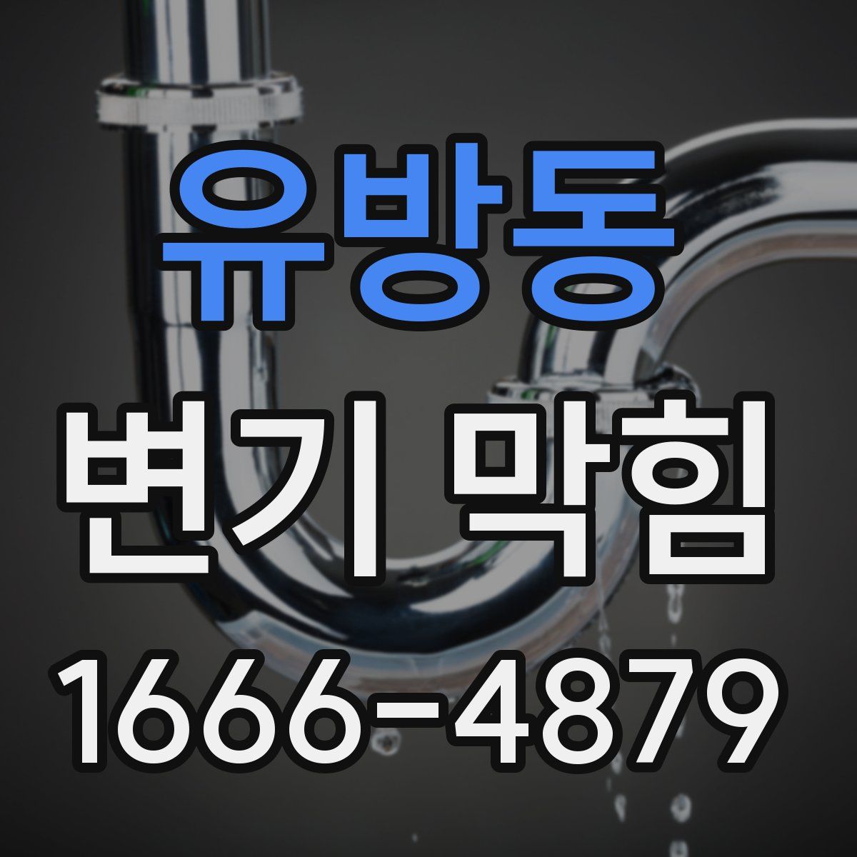 유방동 변기 막힘