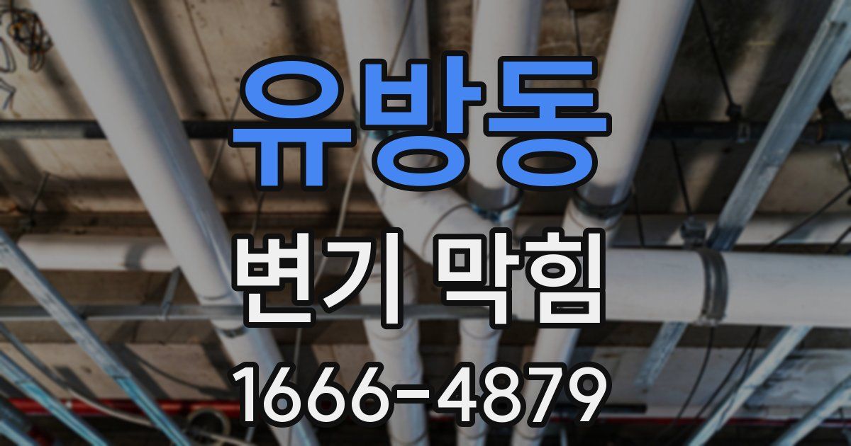 유방동 변기 막힘