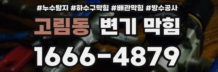 고림동 변기 막힘