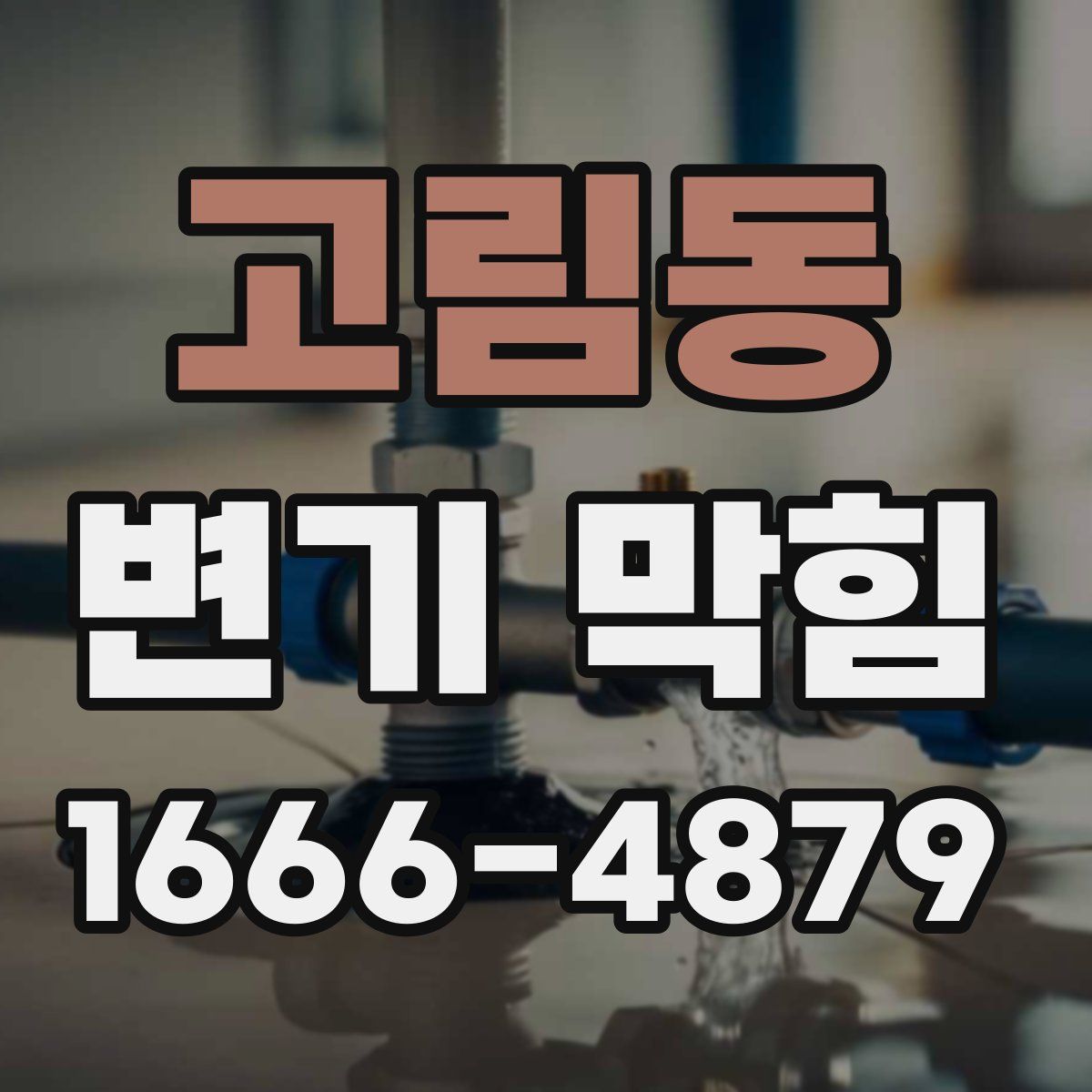 고림동 변기 막힘