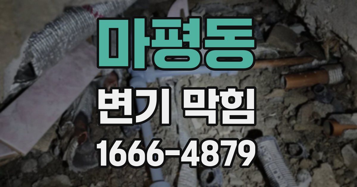 마평동 변기 막힘
