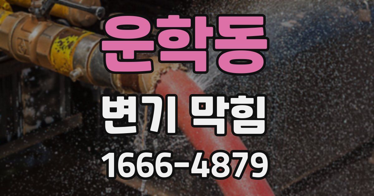 운학동 변기 막힘