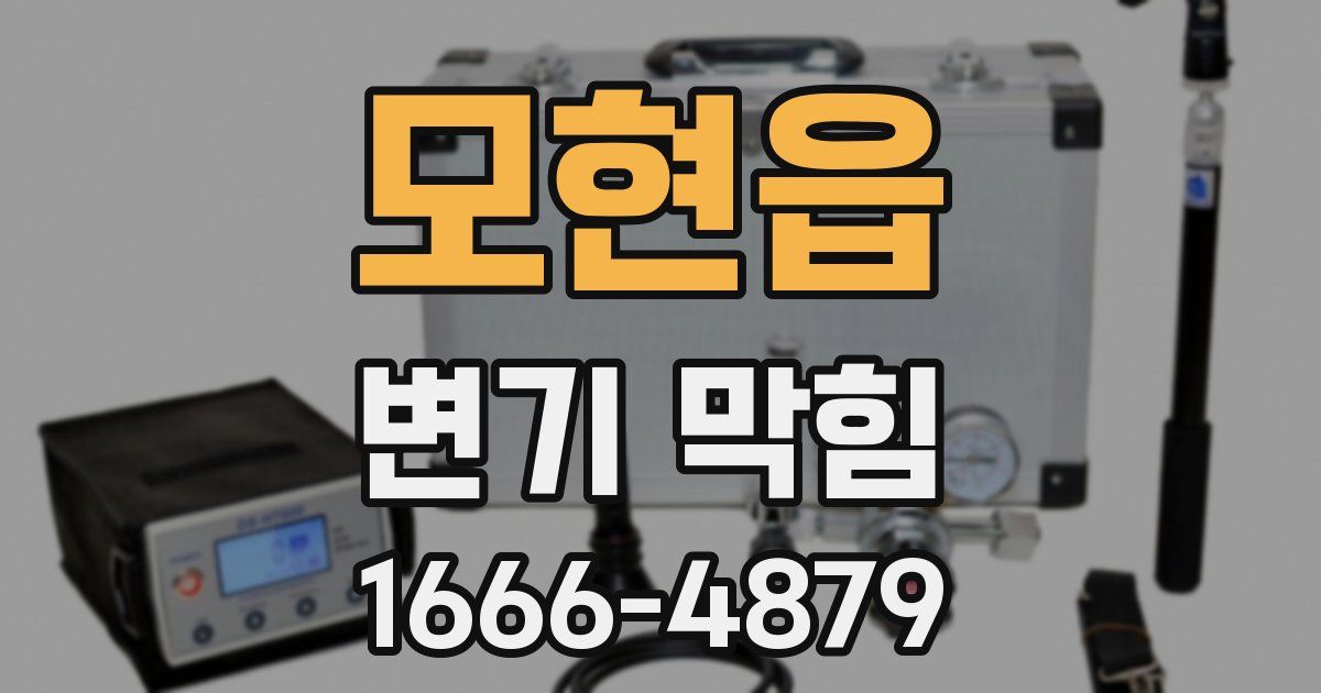 모현읍 변기 막힘