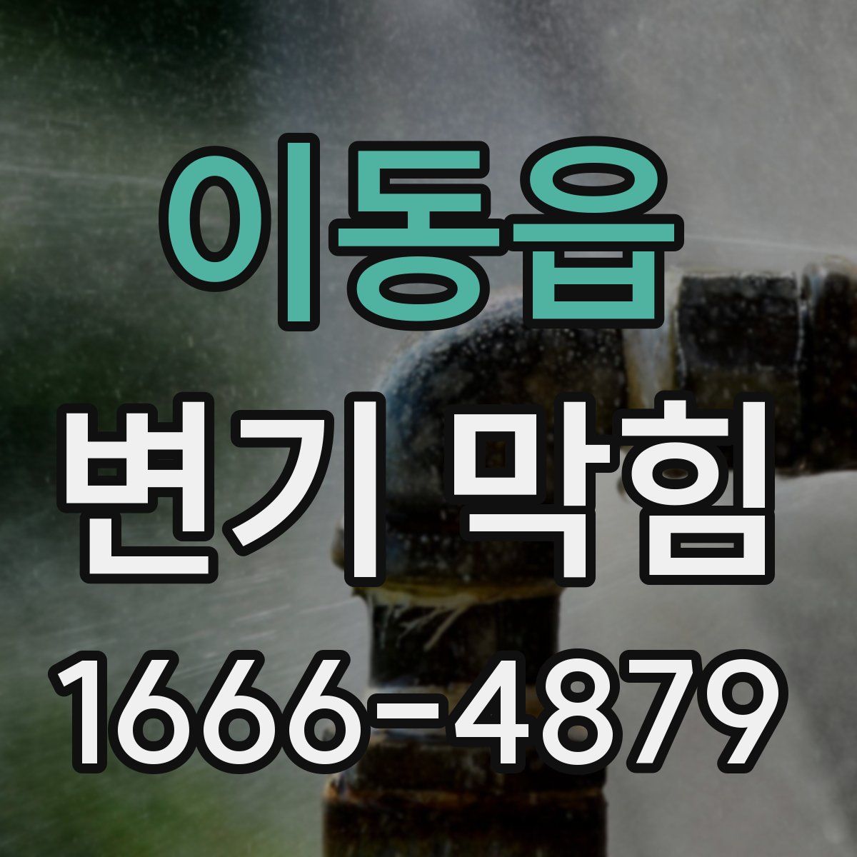 이동읍 변기 막힘