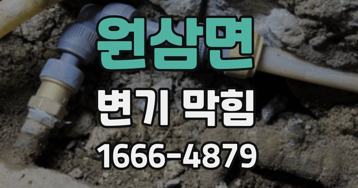 원삼면 변기 막힘